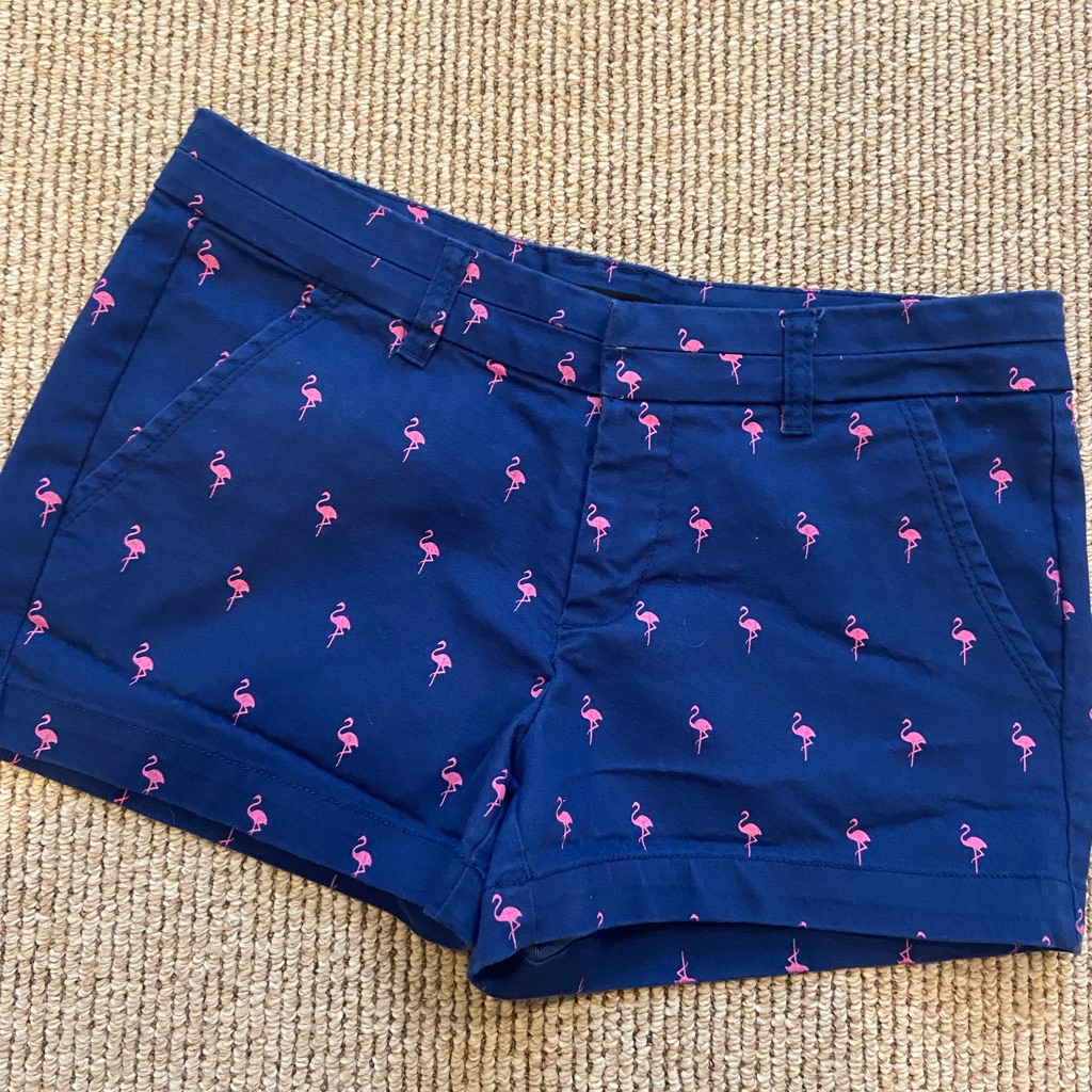 Flamingo Pattern Shorts